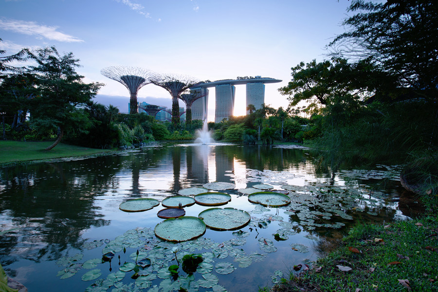 Gardens by the Bay.jpg